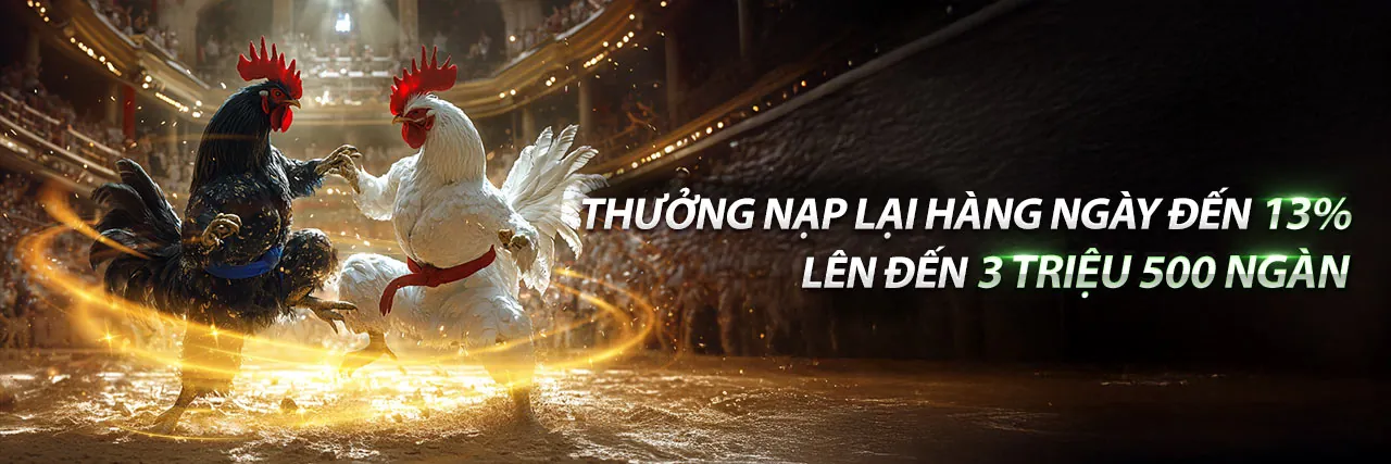 Hình ảnh đá gà trực tuyến tại ke9f nhà cái