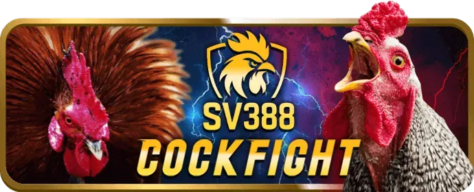 Chương Trình VIP ke9f nhà cái